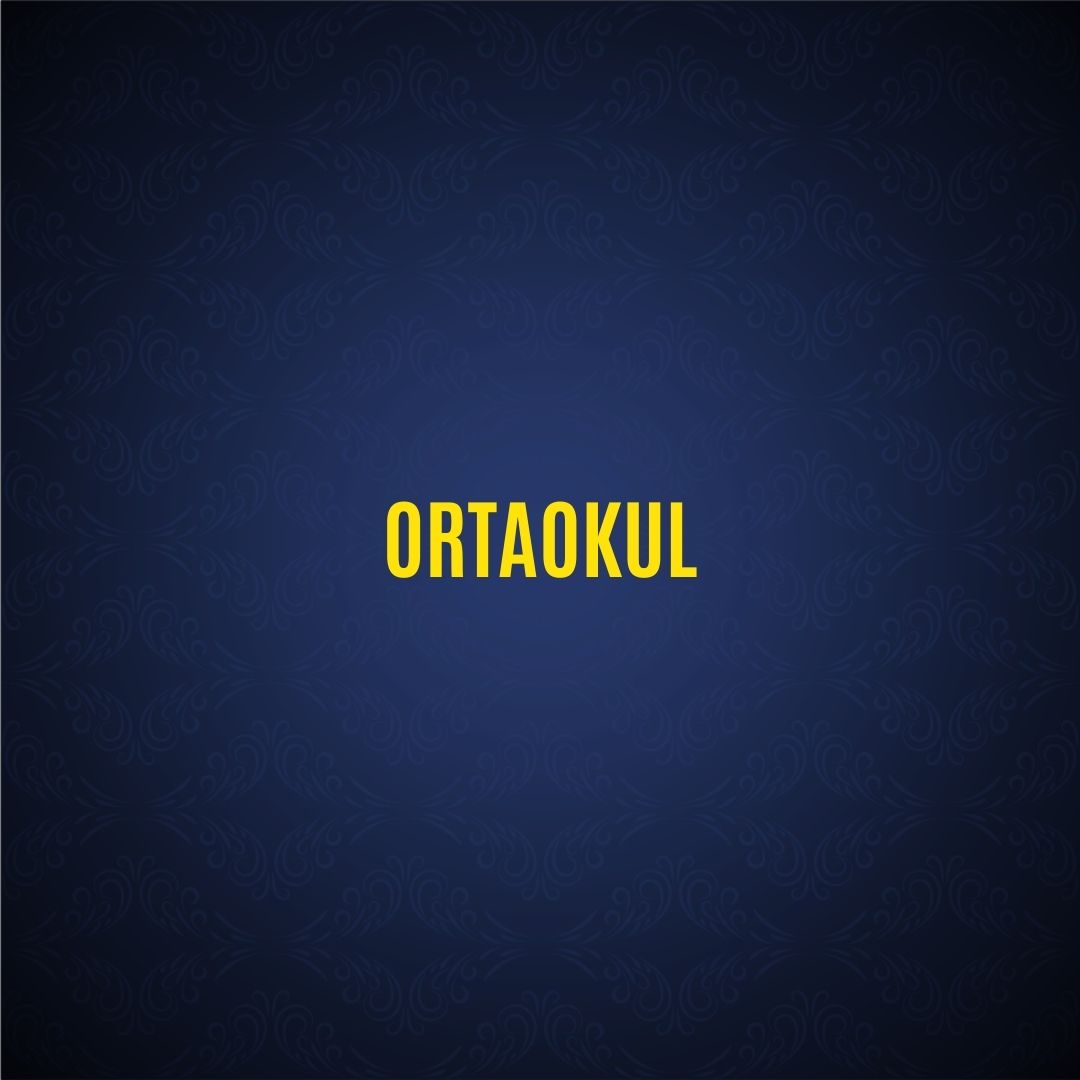 Ortaokul